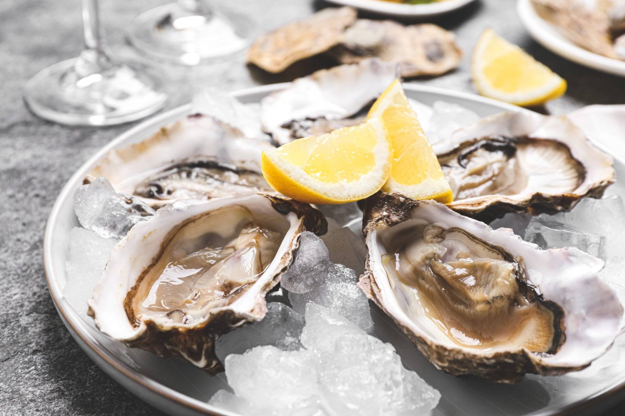 Fresh oysters with lemon and ice on grey table, closeup Fresh oysters with lemon and ice on grey table, closeup